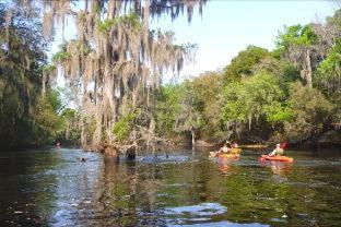 Super 8 By Wyndham Lake City Rum bild